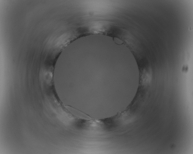 X0000111500427200907141317