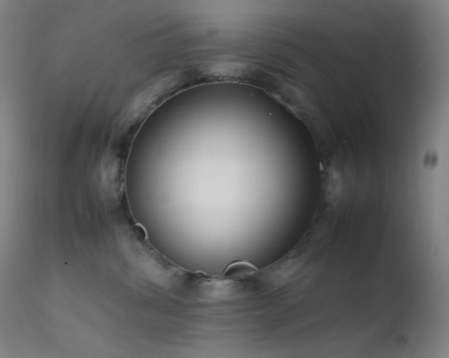X0000111500428200907141317