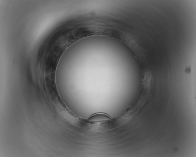 X0000111500430200907141317