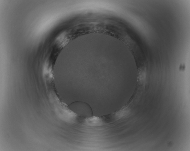 X0000111500431200907141317