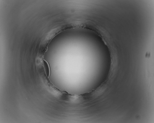 X0000111500432200907141317