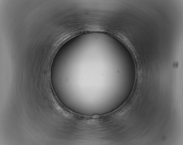 X0000111500433200907141316