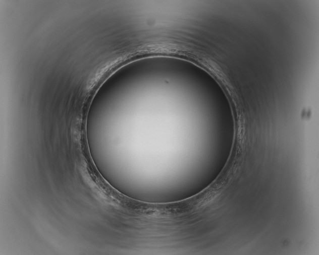 X0000111500434200907141316
