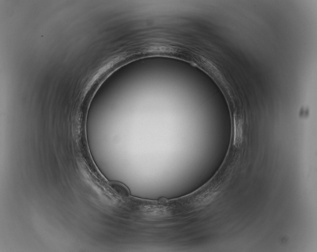 X0000111500435200907141316