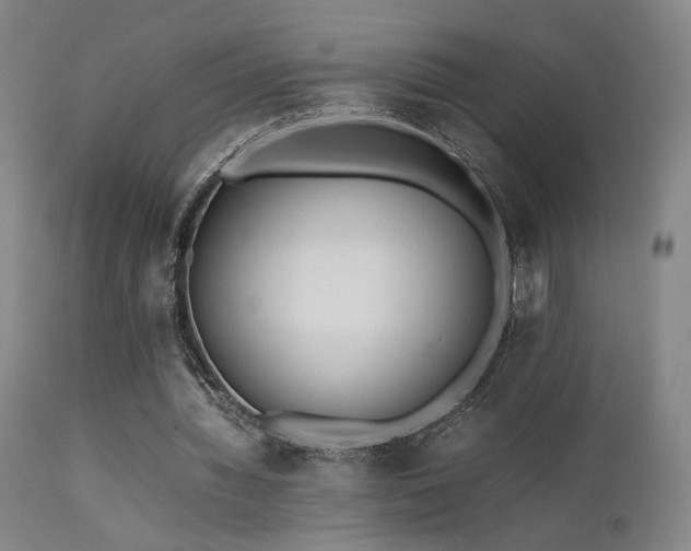 X0000111500436200907141316