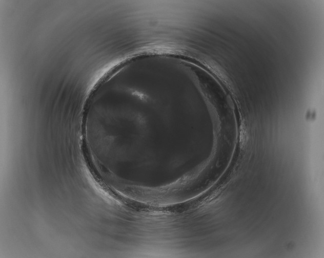 X0000111500438200907141316