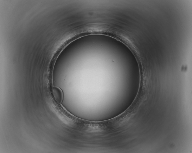 X0000111500439200907141316