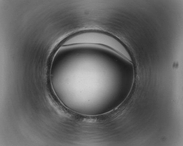 X0000111500440200907141316