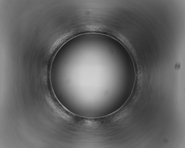 X0000111500442200907141316