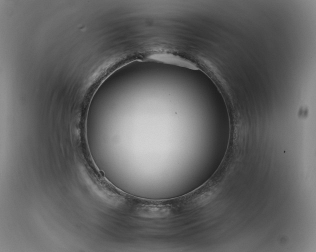 X0000111500443200907141316