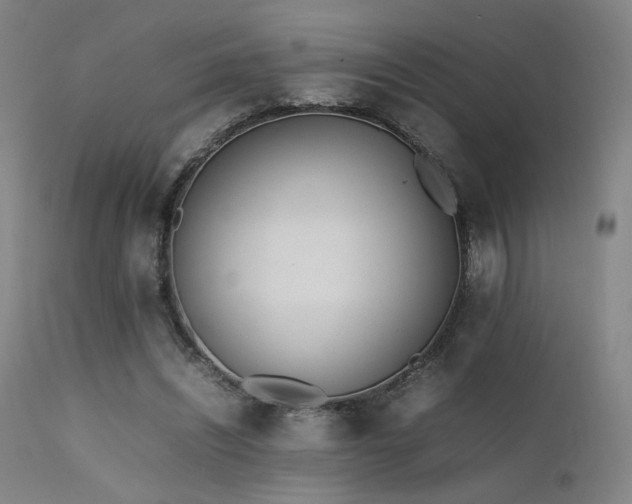 X0000111500444200907141316