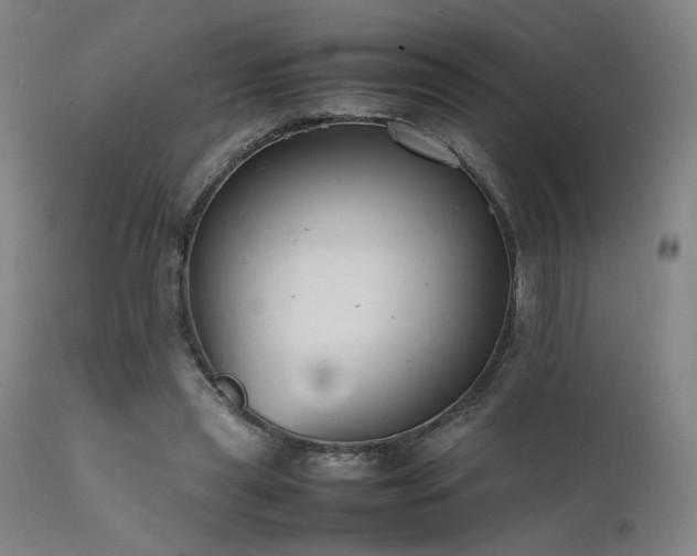 X0000111500445200907141316