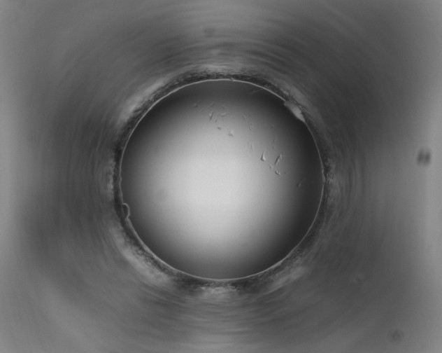 X0000111500446200907141316