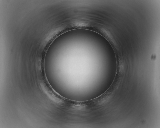 X0000111500447200907141316