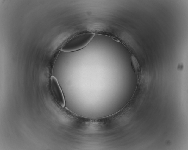 X0000111500448200907141316