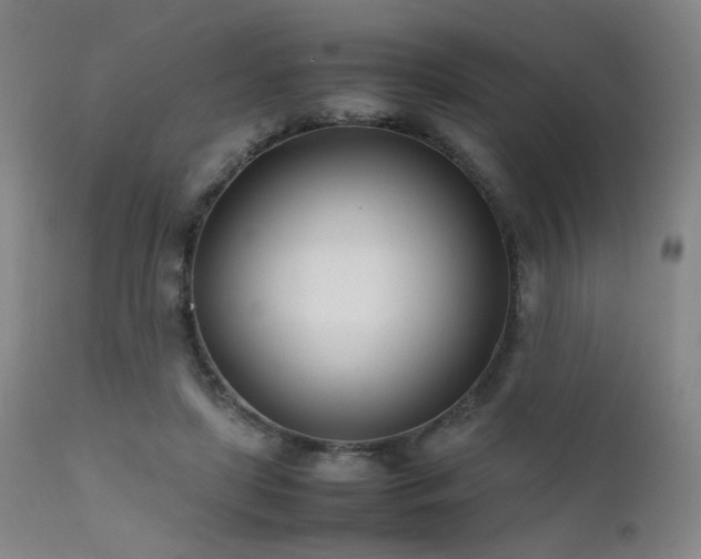X0000111500451200907141316