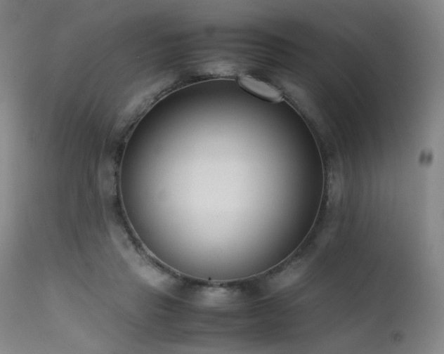 X0000111500453200907141316