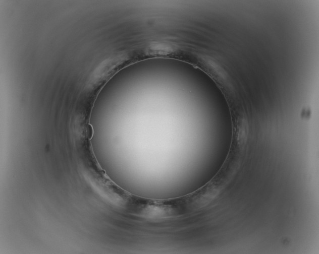 X0000111500455200907141316