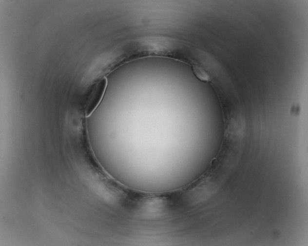 X0000111500456200907141316