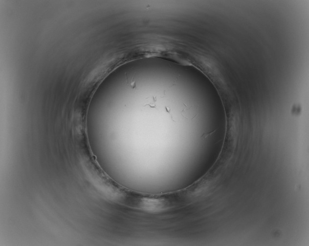 X0000111500457200907141316