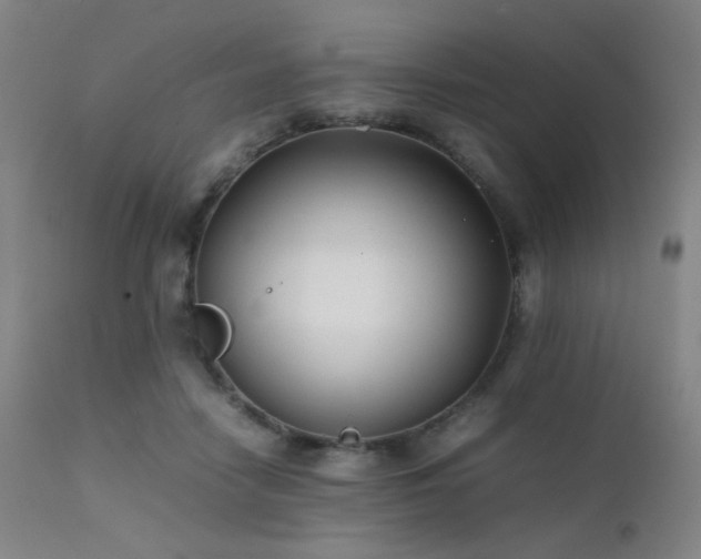X0000111500458200907141316