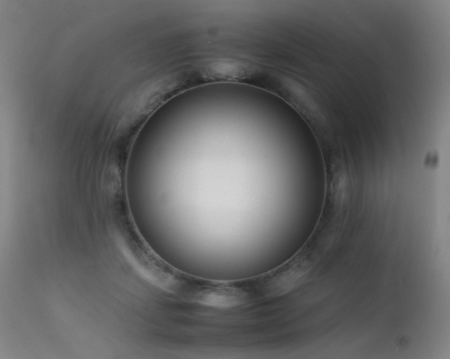 X0000111500459200907141316