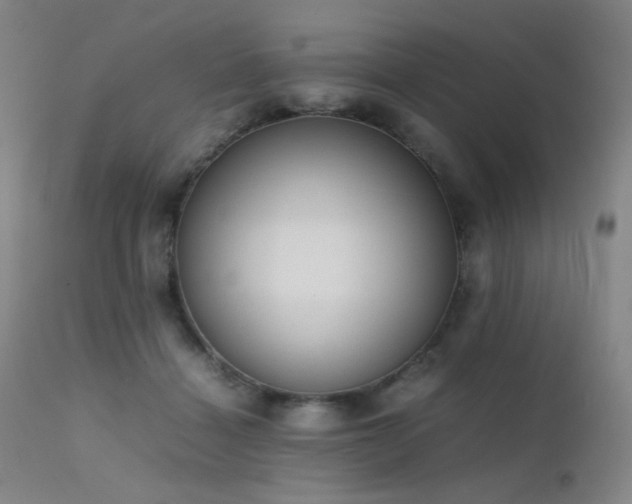 X0000111500460200907141316