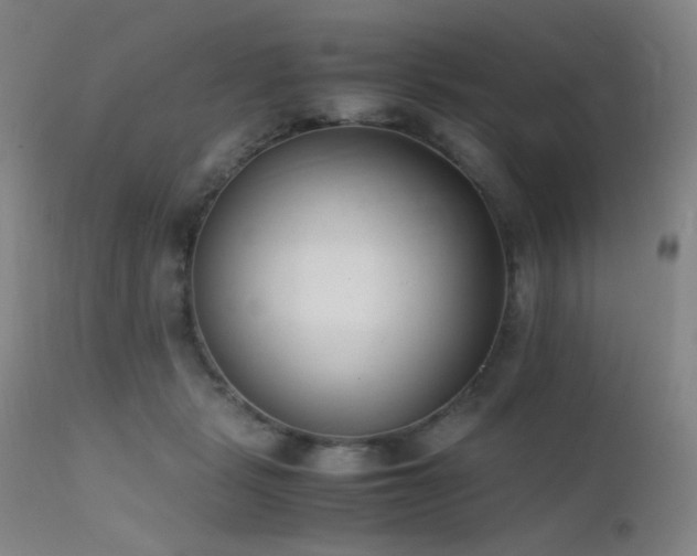 X0000111500461200907141316