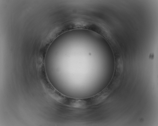X0000111500463200907141316