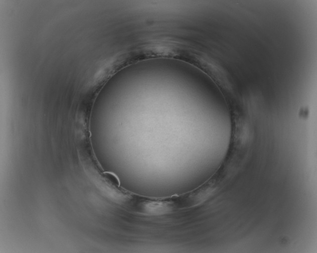 X0000111500465200907141316