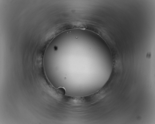 X0000111500466200907141317
