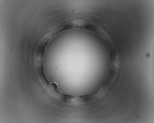 X0000111500468200907141317