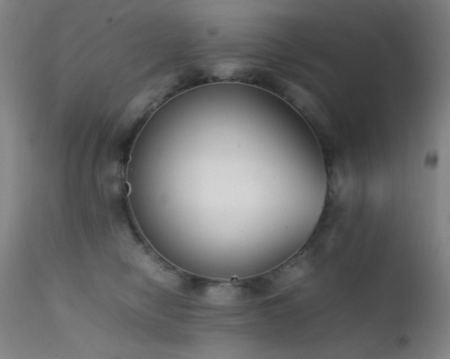 X0000111500470200907141317