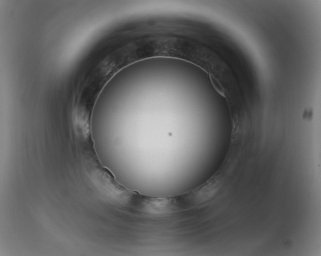 X0000111500479200907141317