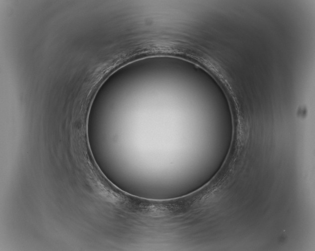 X0000111500481200907141316