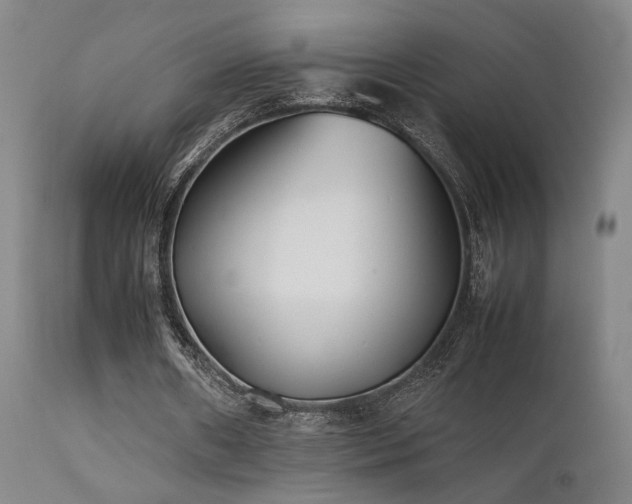 X0000111500482200907141316