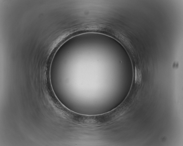 X0000111500483200907141316