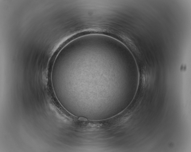 X0000111500484200907141316