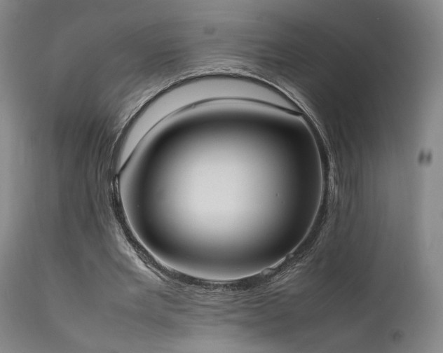 X0000111500485200907141316