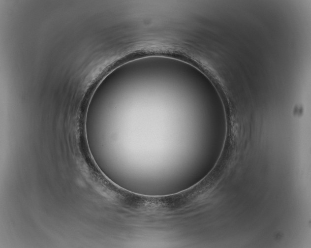 X0000111500487200907141316
