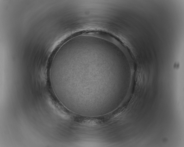 X0000111500488200907141316