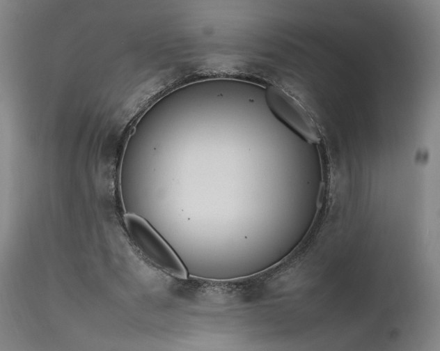 X0000111500489200907141316