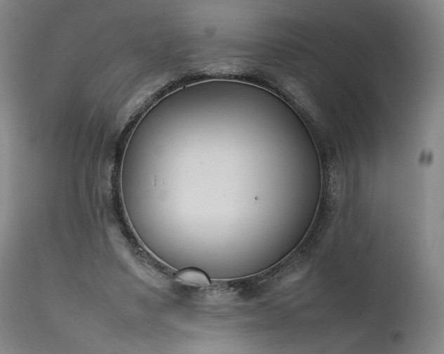 X0000111500491200907141316