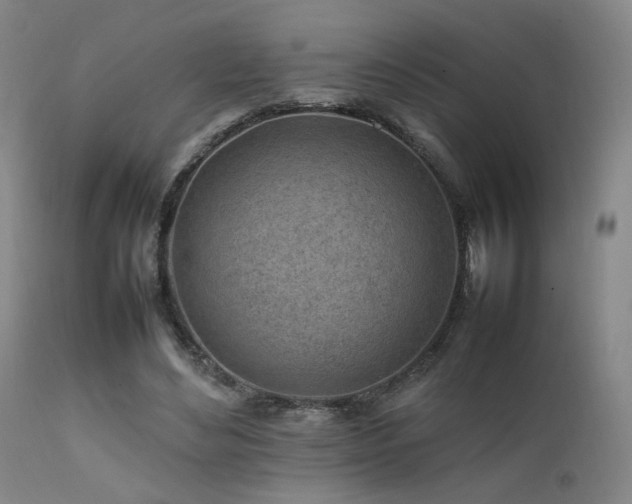 X0000111500492200907141316