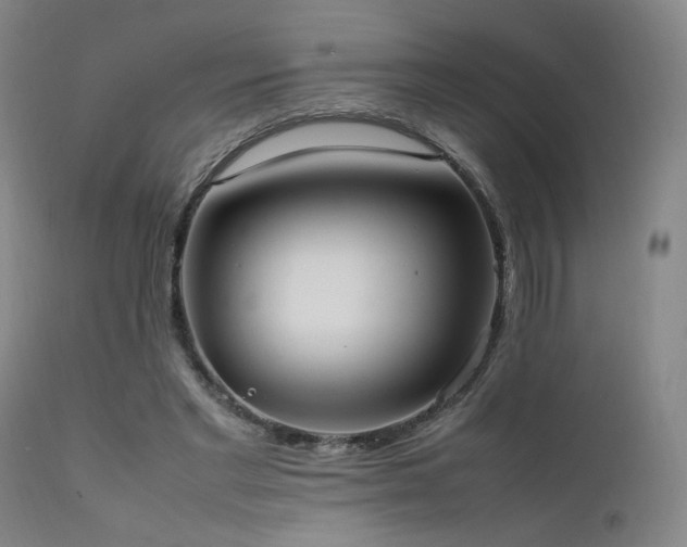 X0000111500493200907141316