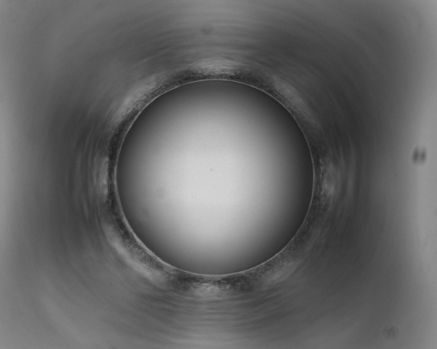 X0000111500494200907141316