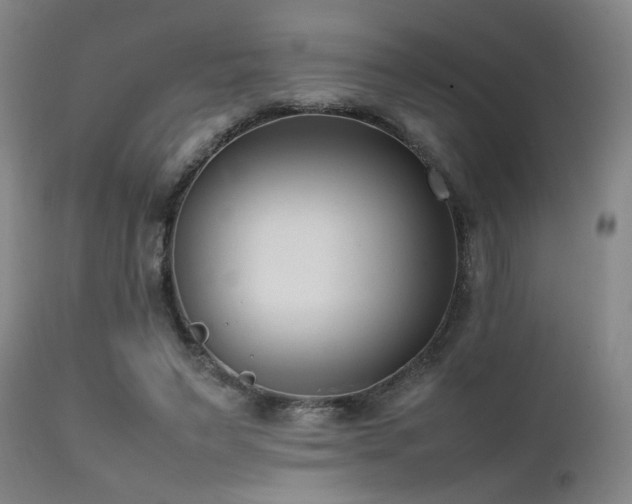 X0000111500495200907141316