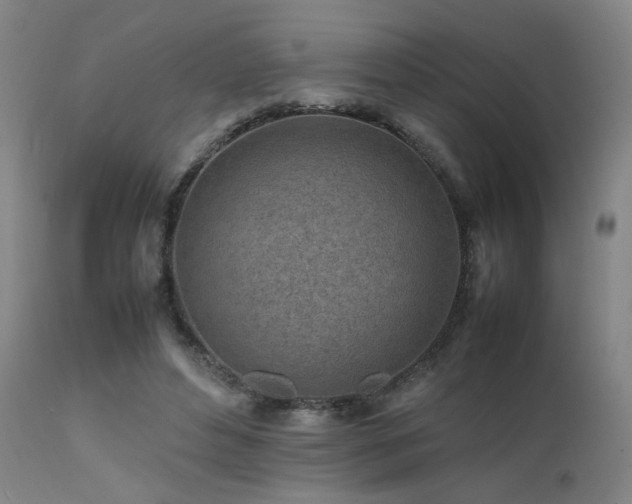X0000111500496200907141316