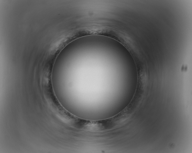 X0000111500499200907141316