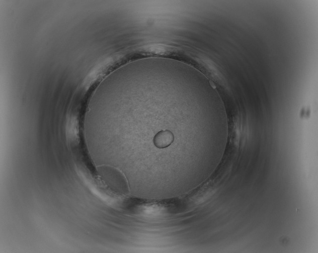 X0000111500500200907141316